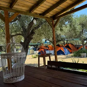  Camping Camping Olive Trees Albanie